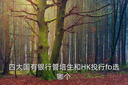 四大去投行有什么優(yōu)勢(shì)，女 研究生畢業(yè)想進(jìn)投行 考研想考北大 清華 復(fù)旦或者香港大學(xué) 請(qǐng)問(wèn)這四