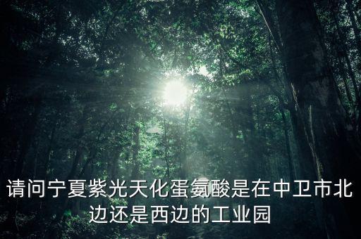 請(qǐng)問寧夏紫光天化蛋氨酸是在中衛(wèi)市北邊還是西邊的工業(yè)園