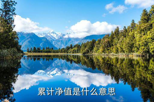 累計(jì)凈值是什么意思，累計(jì)凈值是什么意思