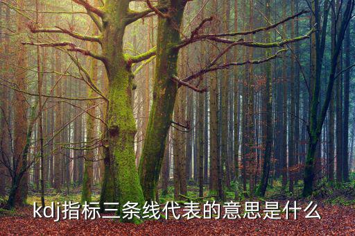 股票過頭是什么意思，關(guān)于股票的一些問題