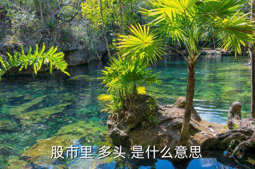 股市里什么叫多頭，股市里 多頭 是什么意思