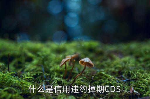 什么是信用違約掉期，什么是信用違約掉期