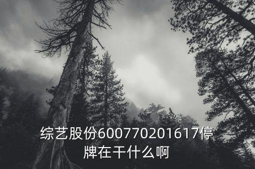 綜藝股份旗下有什么彩票業(yè)務(wù)，擬訂單包括啥類目直充彩票都是虛擬業(yè)務(wù)