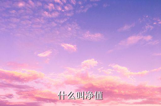 什么是凈值類理財產(chǎn)品，凈值型理財產(chǎn)品是什么意思