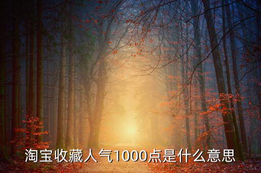 1000點2000點什么意思，加拿大簽證中1000 2000什么意思