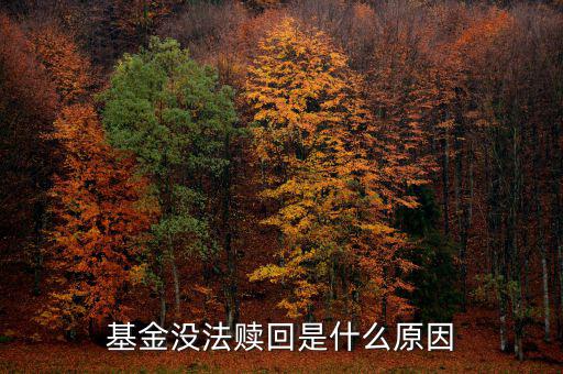 為什么基金不能贖回，為什么我的基金不能贖回
