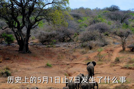 史上5月1日發(fā)生了什么，歷史上的5月1日止7日發(fā)生了什么事