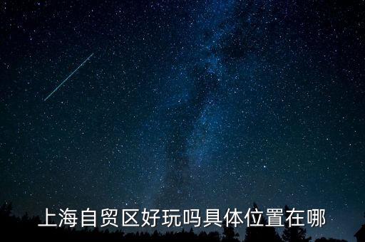 上海自貿(mào)區(qū)有什么好玩的，上海自貿(mào)區(qū)參觀有啥好玩的