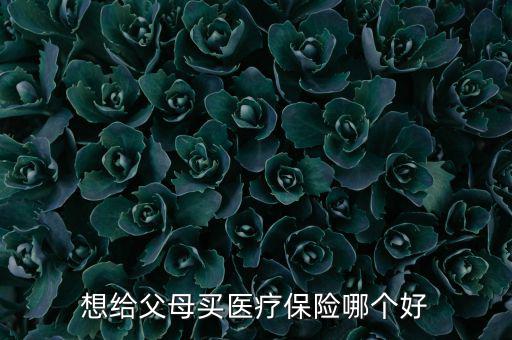 給父母買什么醫(yī)療保險(xiǎn)好，想給父母買醫(yī)療保險(xiǎn)哪個(gè)好