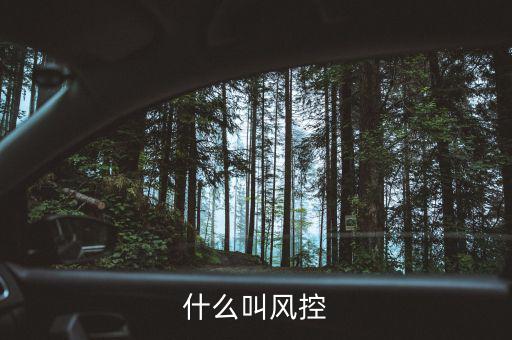 易到風(fēng)控什么意思，什么叫風(fēng)控