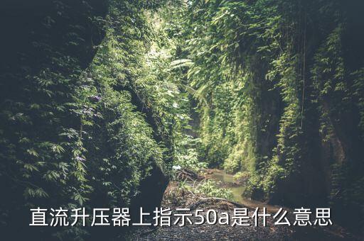 上證50a什么意思，招商央視財經(jīng)50a后面的a什么意思