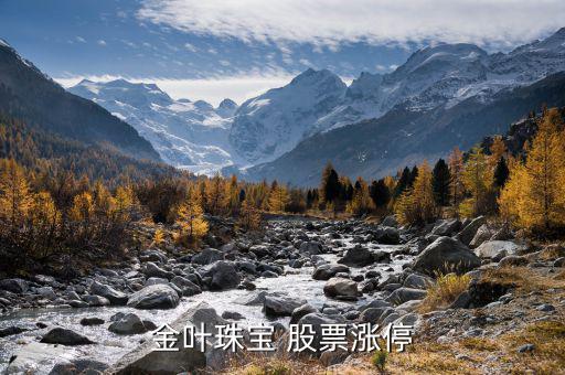 戴什么珠寶股票就漲，珠寶類股代碼誰知道