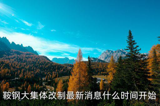 鞍鋼什么時間改制，鞍鋼大集體改制最新消息什么時間開始