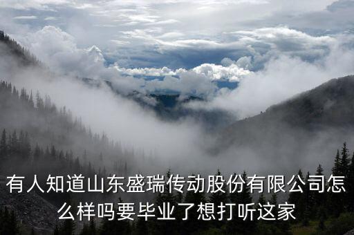 盛瑞企業(yè)是干什么的，南京銳盛互聯(lián)網(wǎng)科技有限公司主要是做什么的