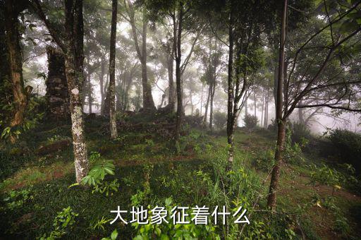 高地價(jià)象征什么，大地象征著什么