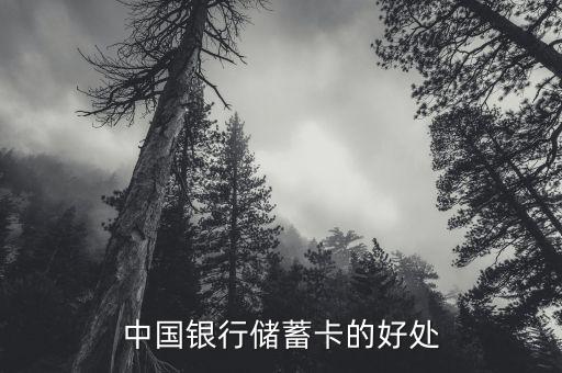 中國(guó)銀行存蓄卡有什么好處，中國(guó)銀行儲(chǔ)蓄卡的好處