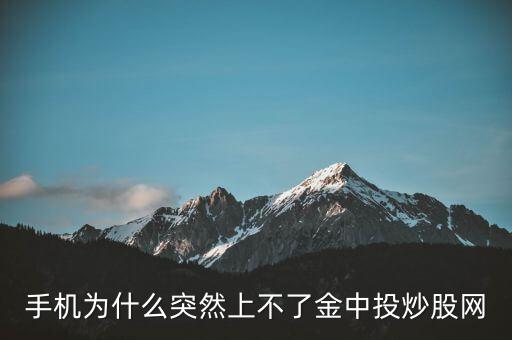為什么不能用金航線炒股，中航證券的金航線手機(jī)版為什么不能申購新股