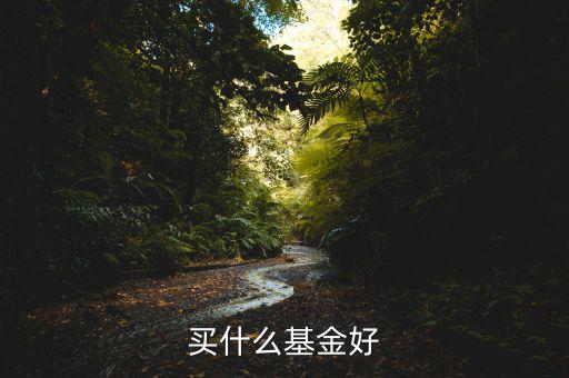 購買什么基金好，買哪個(gè)基金好呢