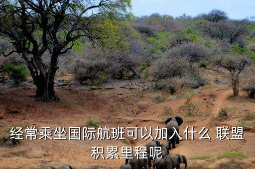 星空聯(lián)盟積分怎么算,南航、東航可通過明珠卡共享積分等