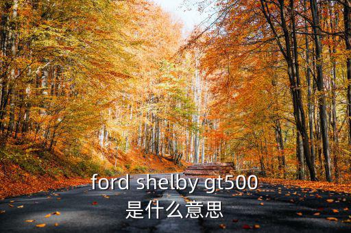 東盟油500是什么，ford shelby gt500是什么意思