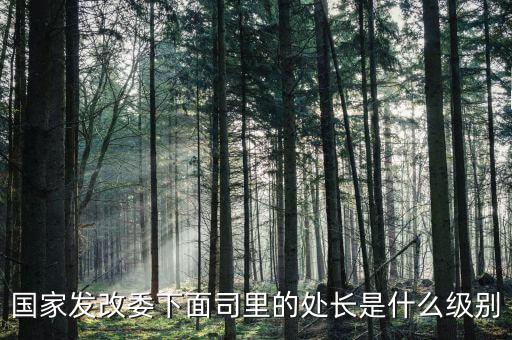 央企處長是什么級別，央企比如移動 電信 聯(lián)通 中石油石化 這些企業(yè)縣的老總是什么級別