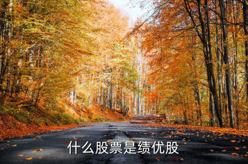 什么是績(jī)效股票，什么叫成長(zhǎng)股和績(jī)效股