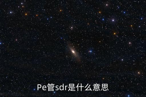 sdr是什么意思，sdr范丞丞wzr什么意思