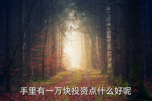 一萬(wàn)元做什么投資，1萬(wàn)元?jiǎng)?chuàng)業(yè)投資干什么好