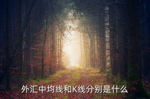 什么叫k線，外匯中均線和K線分別是什么