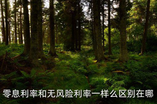 即期利率是什么，定期的利息和國期的利息是什么