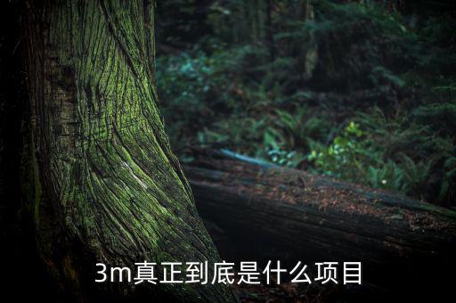 3m靠什么盈利，fifa online 3m玩家怎么賺錢