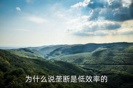 壟斷的無效率是什么，為什么說壟斷會導(dǎo)致低效率