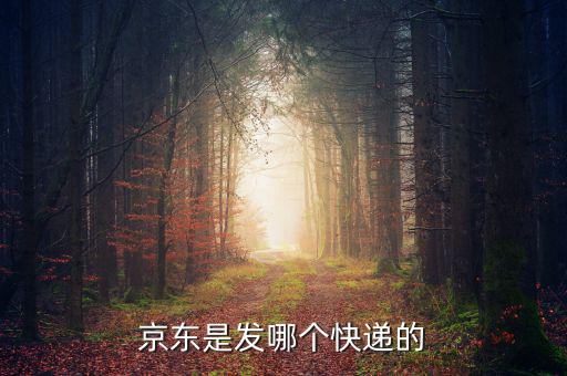京東自營是發(fā)什么快遞，京東的自營產(chǎn)品一般發(fā)什么物流先謝謝大家了