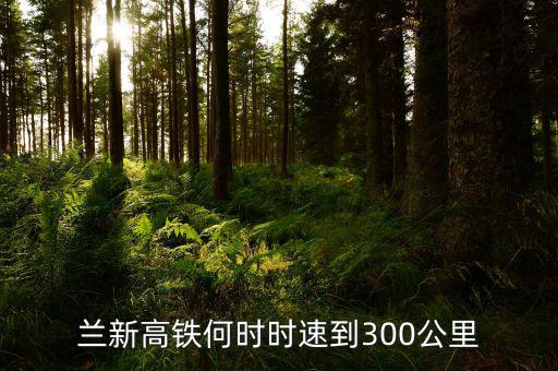 蘭新高鐵什么時候提速，蘭新高鐵2015年3月20日后會再提速嗎