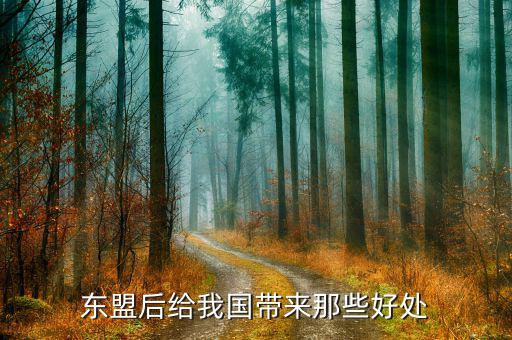 中國(guó)加入東盟有什么好處，東盟后給我國(guó)帶來(lái)那些好處