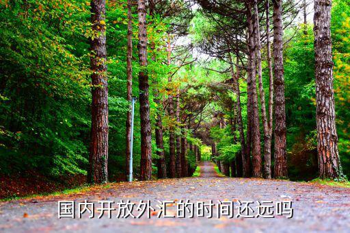 中國(guó)什么時(shí)候沒(méi)有外匯管制，國(guó)內(nèi)允許炒外匯嗎有什么限制嗎