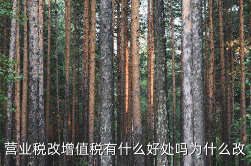 為什么營改增，營改增有什么意義和影響