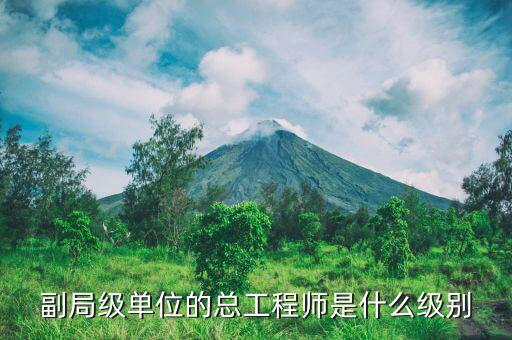 核安全總工程師是什么級別，總工程師是什么級別
