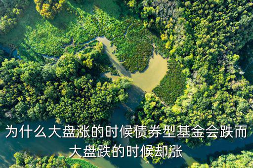 為什么大盤跌基金漲，為啥大盤漲基金反而跌基金又漲