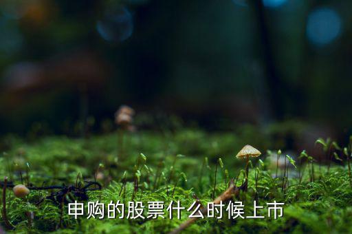 四方申購什么時候上市，申購的新股什么時候上市交易
