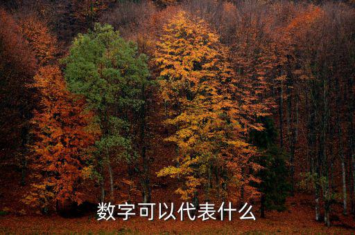 數字可以代表什么