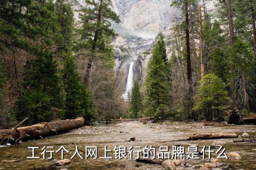 工行電子銀行核心品牌是什么，工行個人網(wǎng)上銀行的品牌是什么