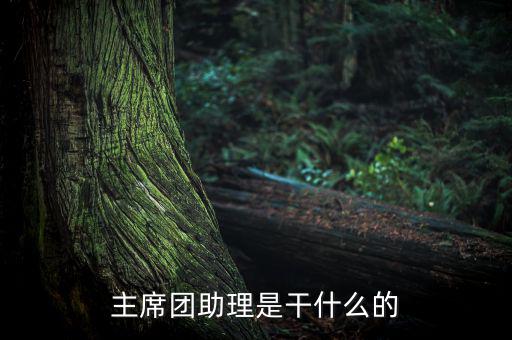 主席團(tuán)助理做什么，主席團(tuán)助理是干什么的