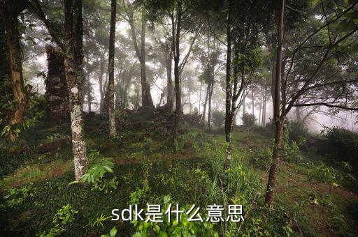 享游sdk是什么，sdk是什么意思