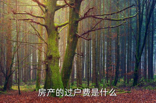 什么是過(guò)戶費(fèi)，房產(chǎn)的過(guò)戶費(fèi)是什么