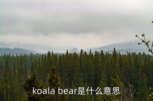 牛壓熊什么意思，tady bear是什么意思