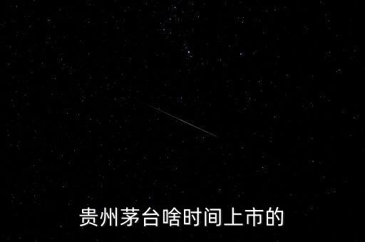 貴州茅臺什么時(shí)候上市，貴州茅臺啥時(shí)間上市的