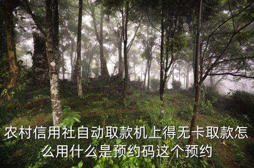 農(nóng)行預(yù)約碼是什么，農(nóng)商銀行預(yù)約取款預(yù)約碼是什么