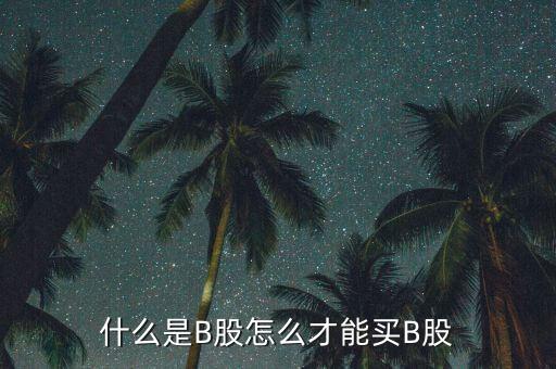 什么是b股賬戶，A股B股帳戶問題