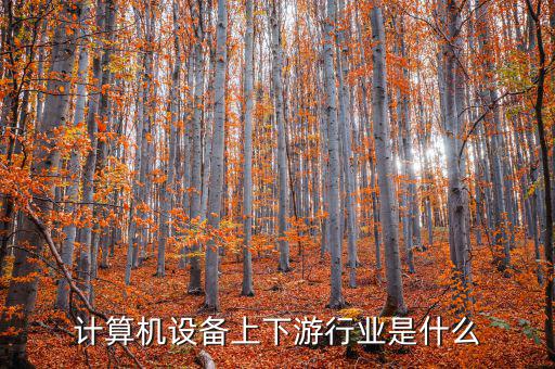 什么是計算機上游行業(yè)，軟件行業(yè)的上下游行業(yè)有哪些